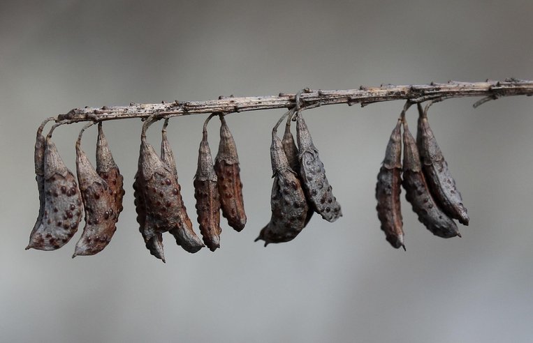 POD출판 - 이미지