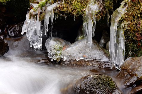 경공매 - 이미지