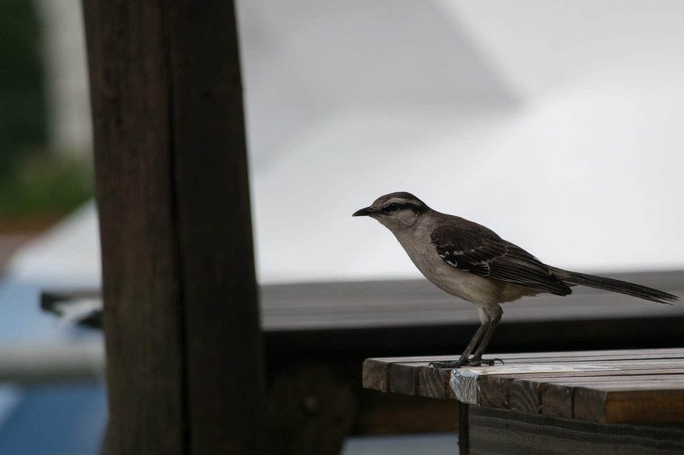 구글 캘린더 - 이미지