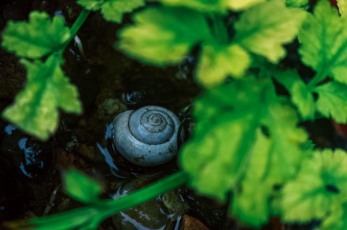 근골격계 - 이미지