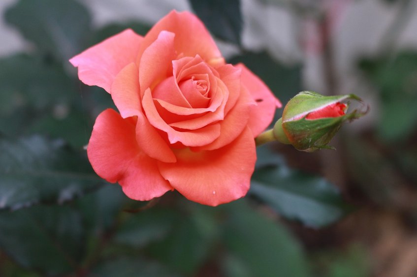 금융위원회 - 이미지