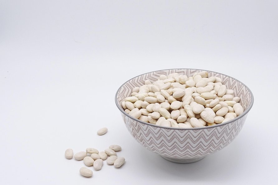 단백질 - 이미지