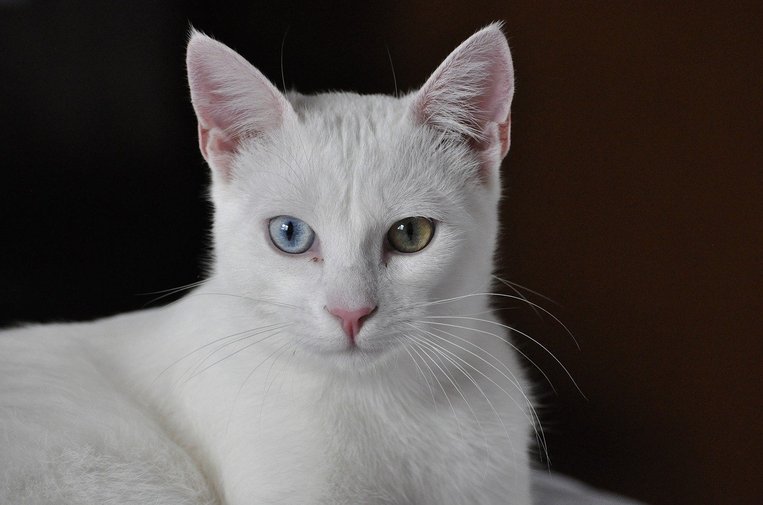 릴렉스 - 이미지