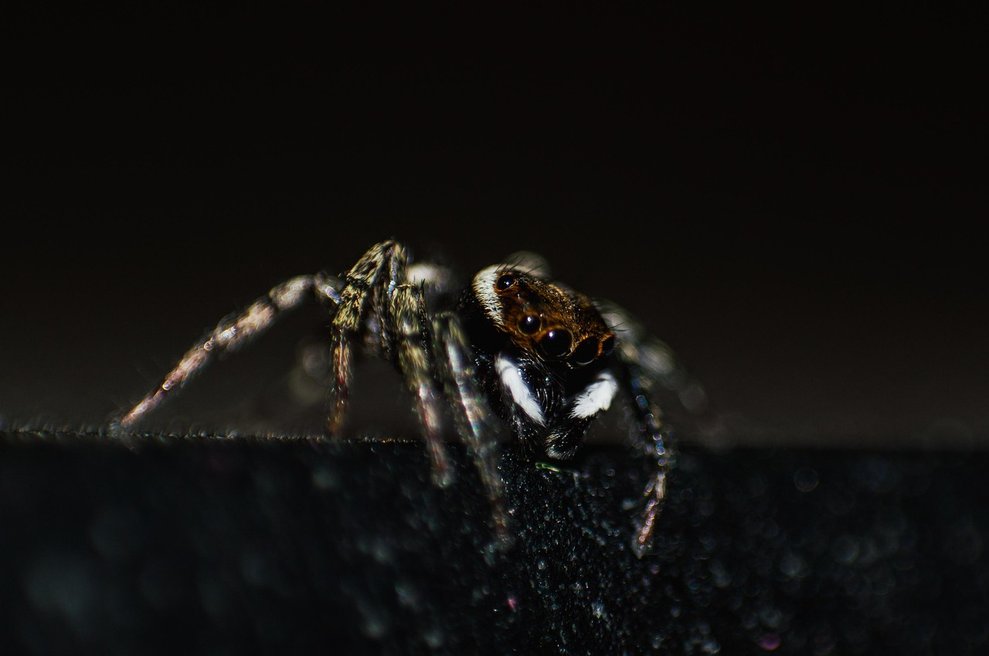 매크로개발 - 이미지