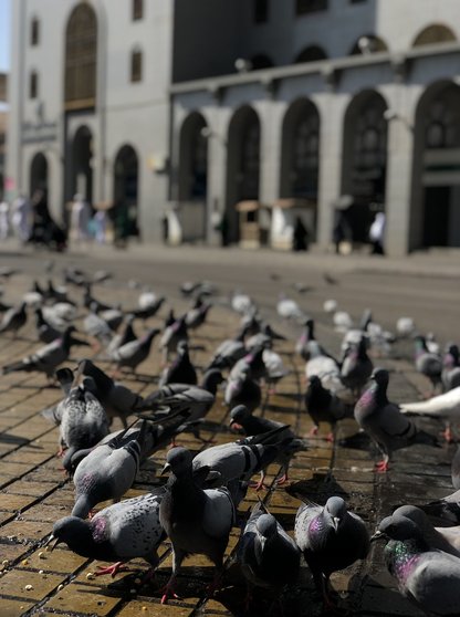 메디나 예언자의 모스크 - 이미지