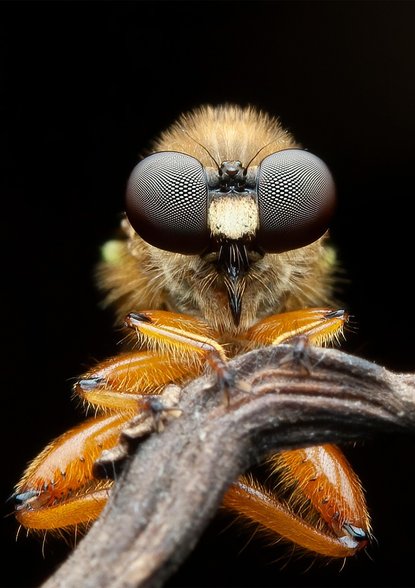 법인세 - 이미지