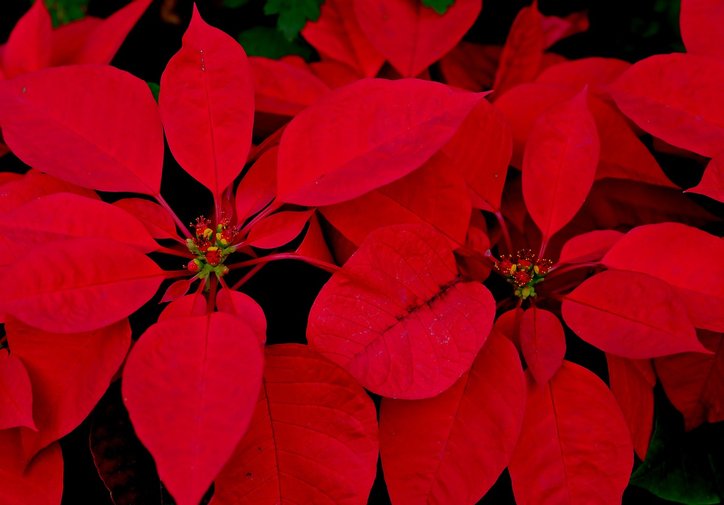 법인세 - 이미지