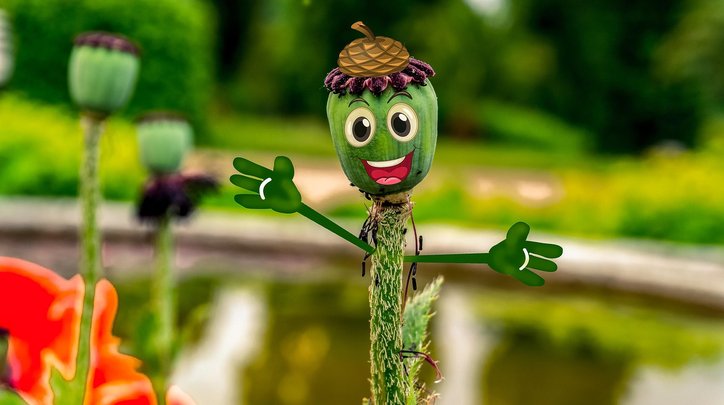 사진 편집 - 이미지