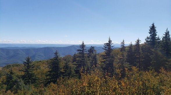 엘 윤케 국유림 엘 윤케 국유림 - 이미지