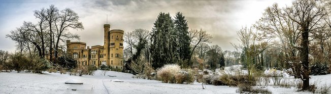 요하네스버그 사자 공원 - 이미지