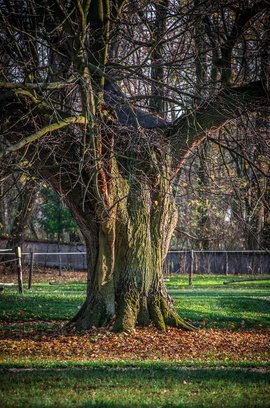 월세 부담 - 이미지