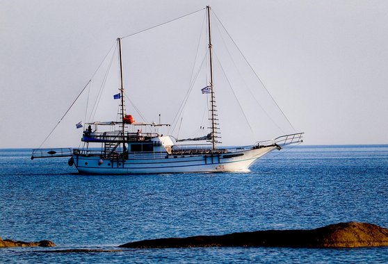 자사주 - 이미지