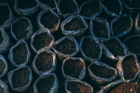 자아 성장 - 이미지