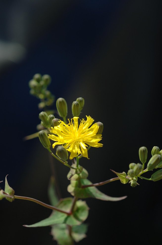 재개발 투자 - 이미지