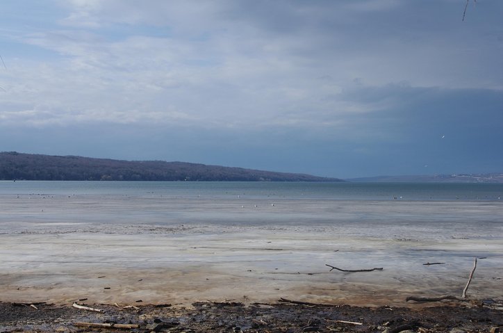 코넬 노트 - 이미지