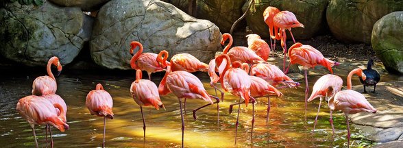 콜롬비아 카르타헤나 구시가지 - 이미지