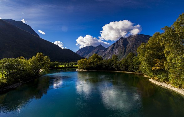 트라우마 - 이미지