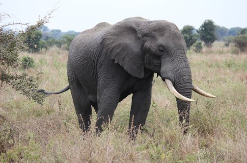 환경보호 - 이미지