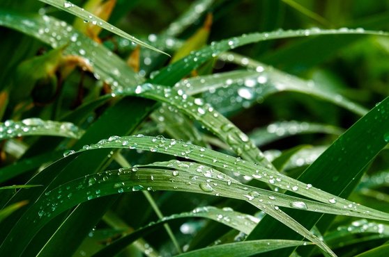 활기찬 - 이미지