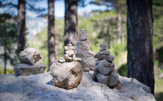 ELS위험성 - 이미지