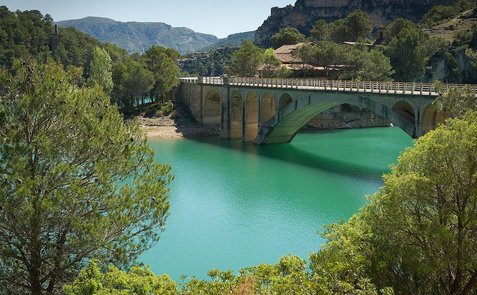 ELS위험성 - 이미지