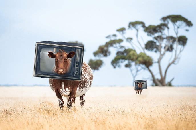 가상현실 - 이미지