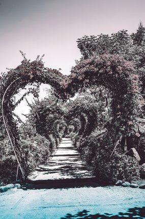 감사 마음 - 이미지