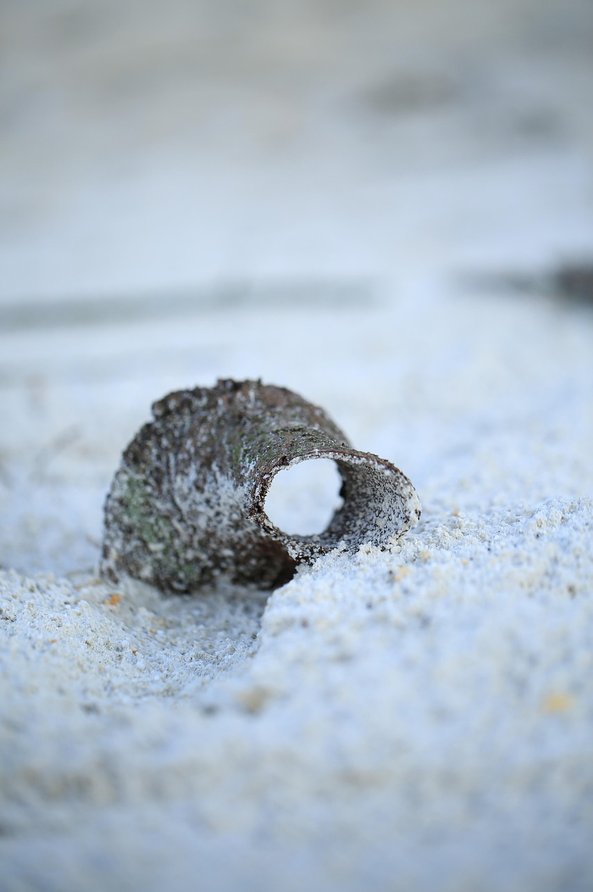 고령화 - 이미지