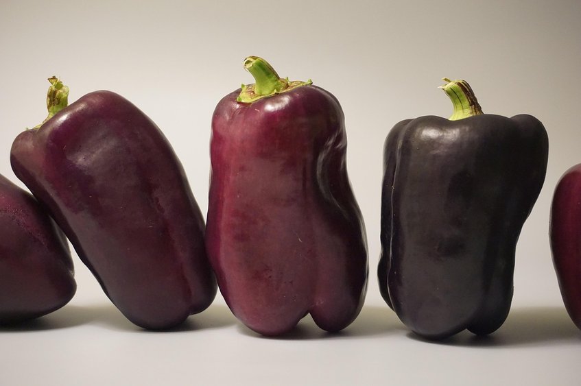 눈건강 - 이미지