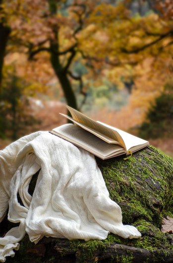 라파스 마녀 시장 - 이미지