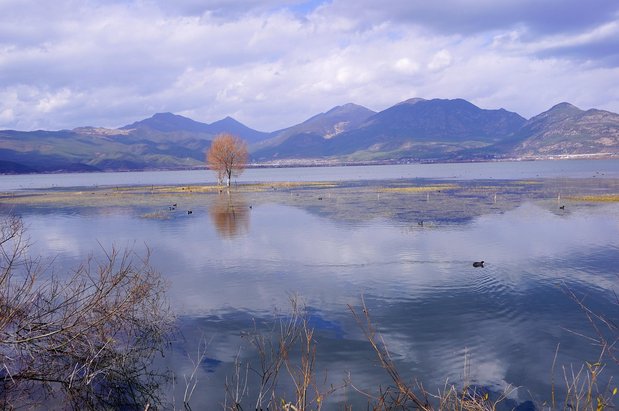 리장 고성 - 이미지