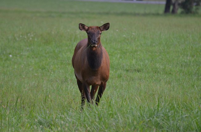모멘텀 투자 - 이미지