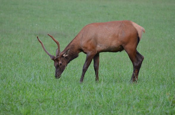 모멘텀 투자 - 이미지