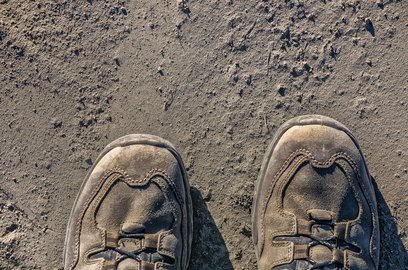 미세먼지대응 - 이미지