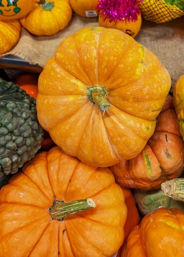 법정 상속 - 이미지