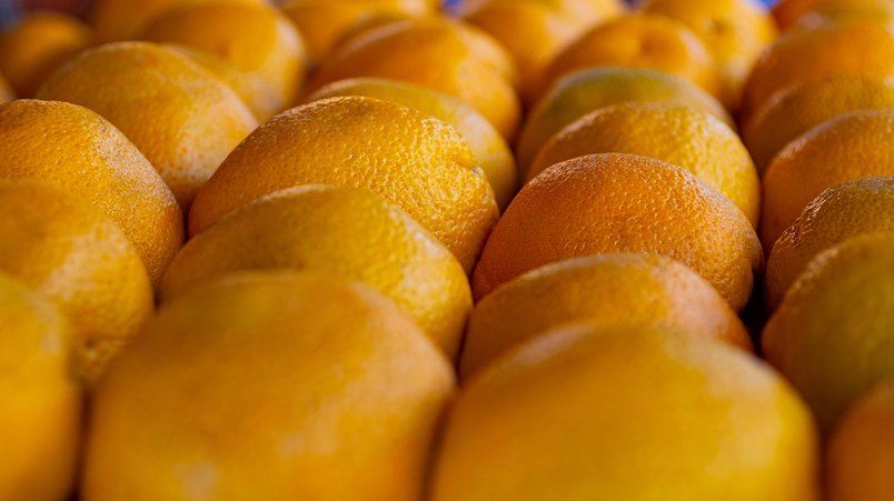 부의추월차선 - 이미지