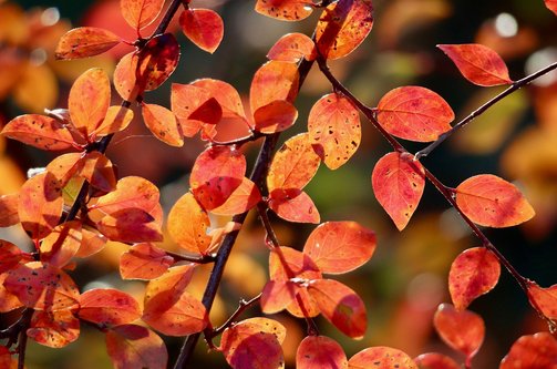 사귀기 - 이미지