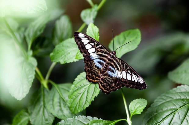 상사 소통 - 이미지