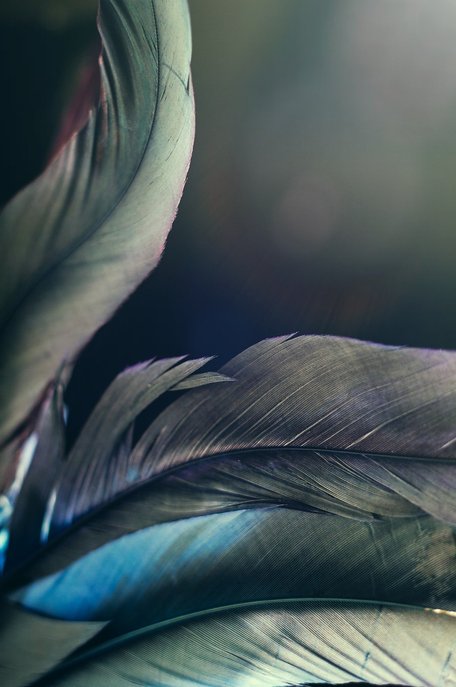 새로운취미 - 이미지