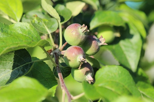 설득력 - 이미지