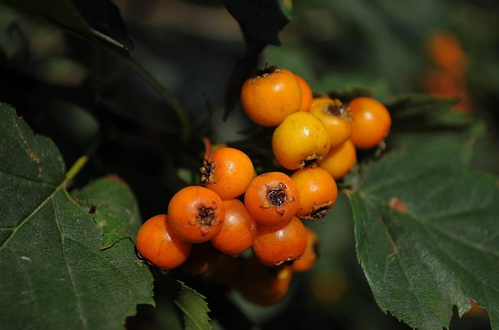 설득력 - 이미지