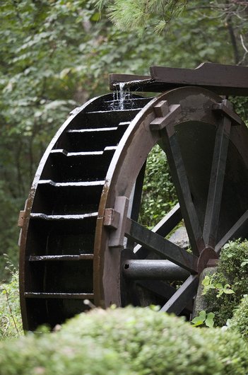 성장 동력 - 이미지