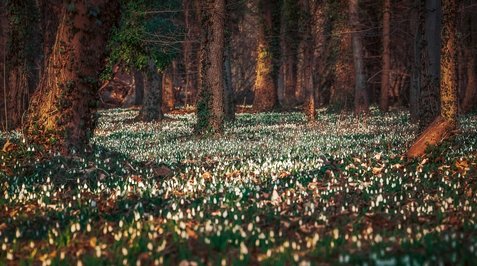 성장 지표 - 이미지