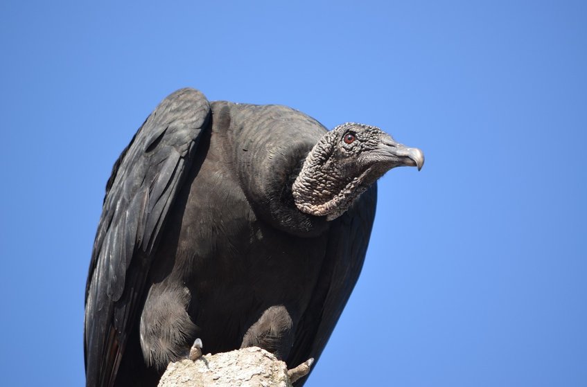 양도 차익 - 이미지