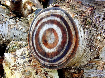 연간 목표 - 이미지