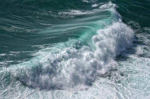 웹 서핑 알바 - 이미지