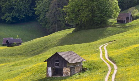 유틸리티 앱 - 이미지