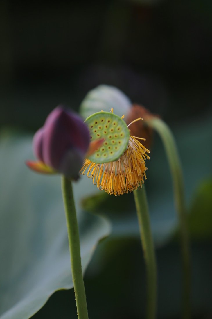 재무상담 - 이미지