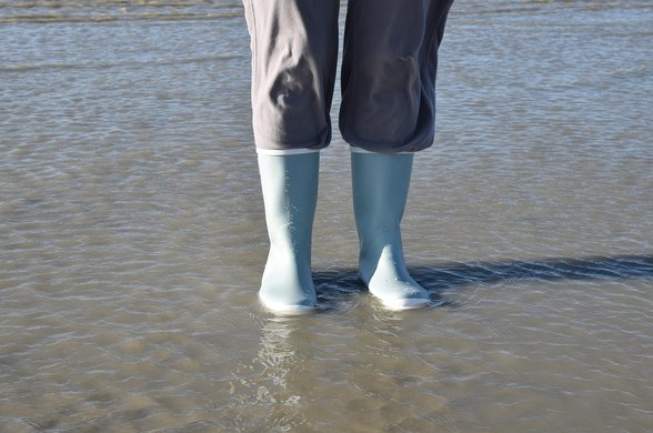 전월세 신고 - 이미지