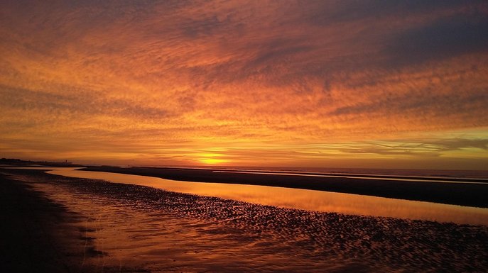 절세 혜택 - 이미지